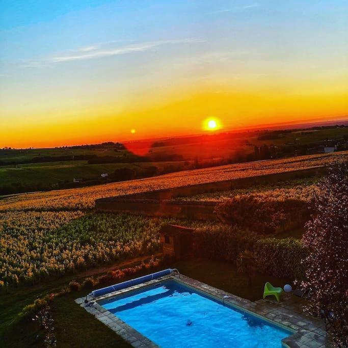 Appartamento Au Coeur Des Vignes Chenas Du Beaujolais La Chapelle-de-Guinchay Esterno foto