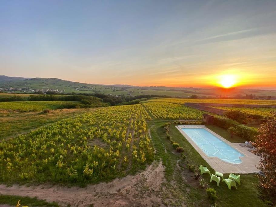 Appartamento Au Coeur Des Vignes Chenas Du Beaujolais La Chapelle-de-Guinchay Esterno foto