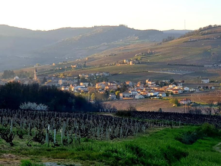 Appartamento Au Coeur Des Vignes Chenas Du Beaujolais La Chapelle-de-Guinchay Esterno foto
